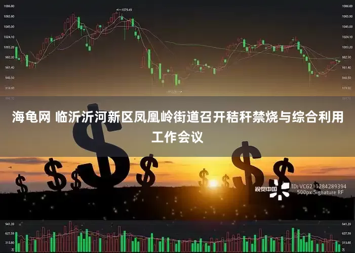 海龟网 临沂沂河新区凤凰岭街道召开秸秆禁烧与综合利用工作会议