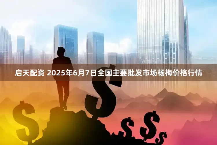 启天配资 2025年6月7日全国主要批发市场杨梅价格行情